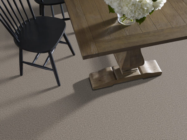 Anderson Tuftex Carpet Fur-Ever Rockport 00556_ZZ218 - Image 2