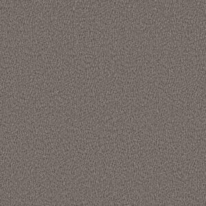 Anderson Tuftex Carpet Fur-Ever Kendall 00557_ZZ218