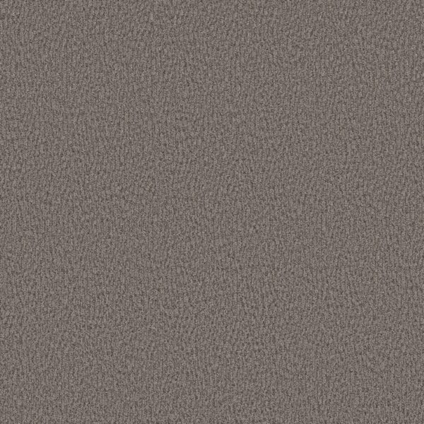 Anderson Tuftex Carpet Fur-Ever Kendall 00557_ZZ218