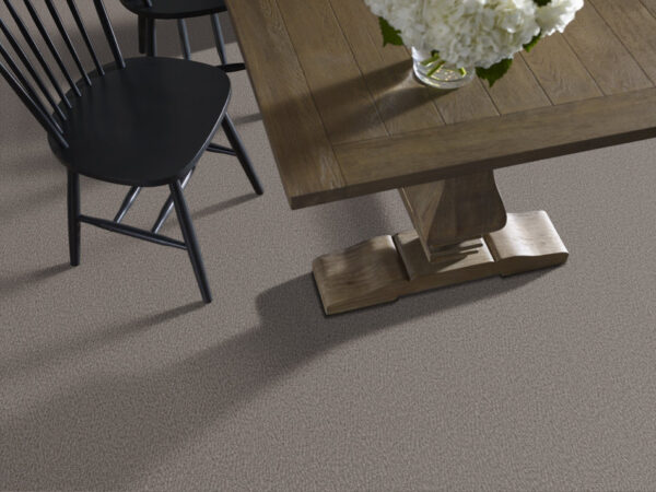 Anderson Tuftex Carpet Fur-Ever Kendall 00557_ZZ218 - Image 2