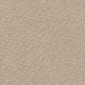 Anderson Tuftex Carpet Paw-Tay Old Country 00122_ZZ221