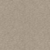 Anderson Tuftex Carpet Paw-Tay Birch 00173_ZZ221