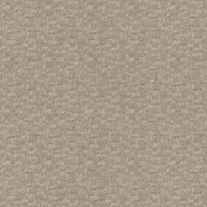 Anderson Tuftex Carpet Paw-Tay Birch 00173_ZZ221