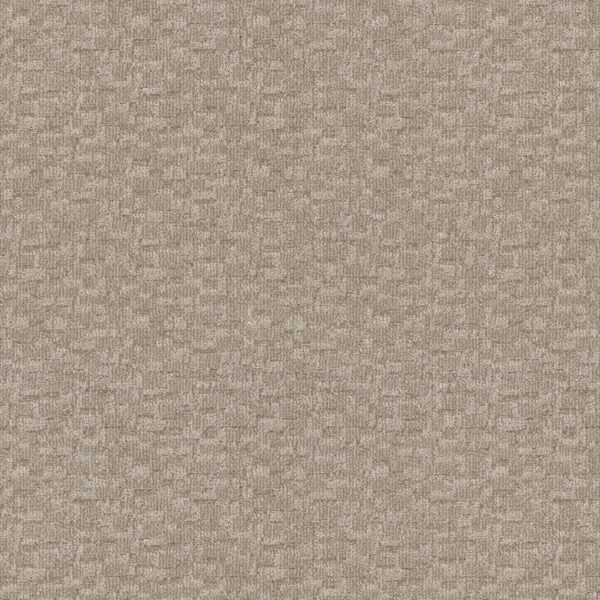 Anderson Tuftex Carpet Paw-Tay Birch 00173_ZZ221