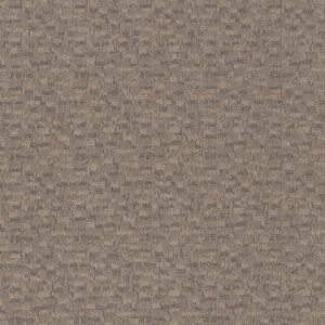 Anderson Tuftex Carpet Paw-Tay Cloud Cover 00252_ZZ221