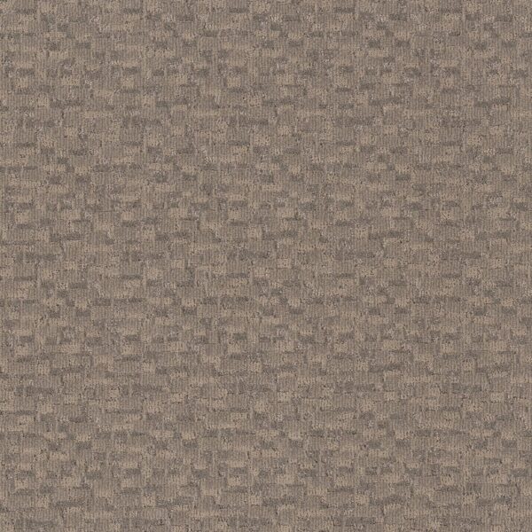 Anderson Tuftex Carpet Paw-Tay Cloud Cover 00252_ZZ221