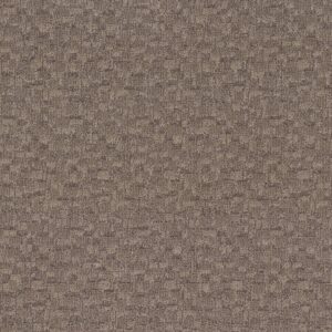 Anderson Tuftex Carpet Paw-Tay Danville 00273_ZZ221