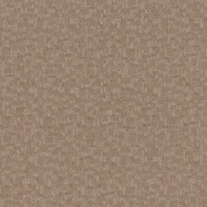 Anderson Tuftex Carpet Paw-Tay Mystic 00274_ZZ221