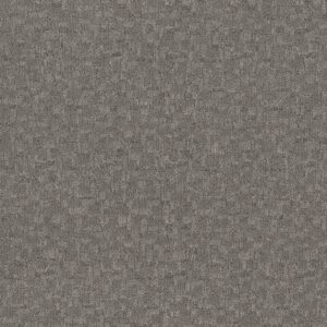 Anderson Tuftex Carpet Paw-Tay Avon 00342_ZZ221