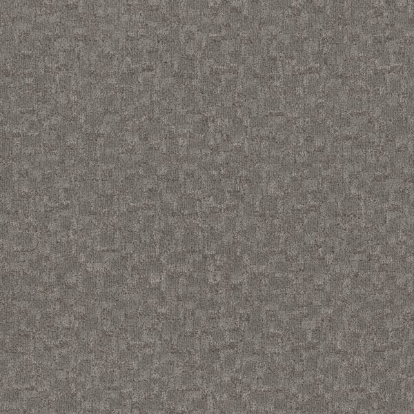 Anderson Tuftex Carpet Paw-Tay Avon 00342_ZZ221