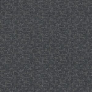 Anderson Tuftex Carpet Paw-Tay Waterbury 00435_ZZ221