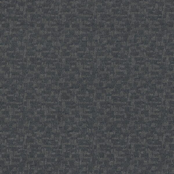 Anderson Tuftex Carpet Paw-Tay Waterbury 00435_ZZ221