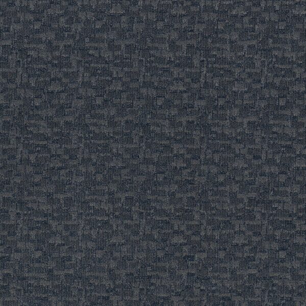 Anderson Tuftex Carpet Paw-Tay Hale Navy 00448_ZZ221