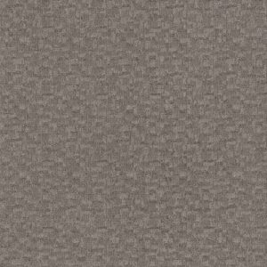 Anderson Tuftex Carpet Paw-Tay Rockport 00556_ZZ221