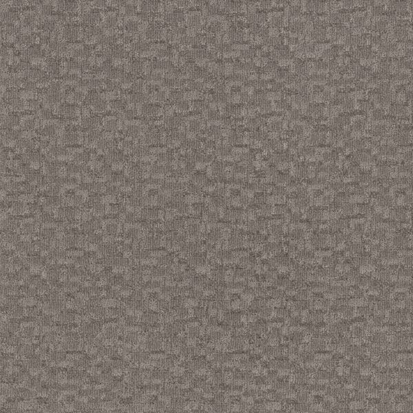 Anderson Tuftex Carpet Paw-Tay Rockport 00556_ZZ221