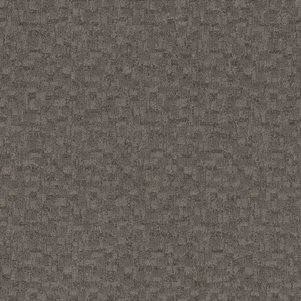 Anderson Tuftex Carpet Paw-Tay Kendall 00557_ZZ221