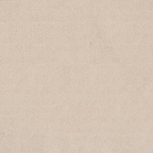 Anderson Tuftex Carpet Ario Haven 00112_ZZ222