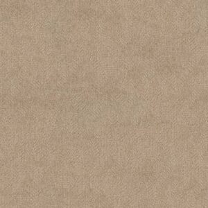 Anderson Tuftex Carpet Ario Parchment 00114_ZZ222