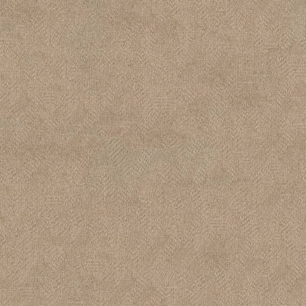 Anderson Tuftex Carpet Ario Parchment 00114_ZZ222
