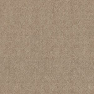 Anderson Tuftex Carpet Ario Coastal Home 00115_ZZ222