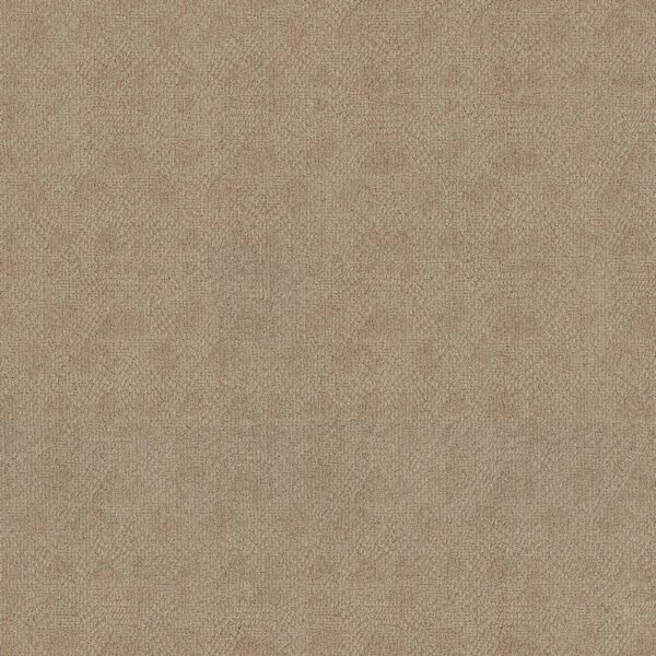 Anderson Tuftex Carpet Ario Coastal Home 00115_ZZ222