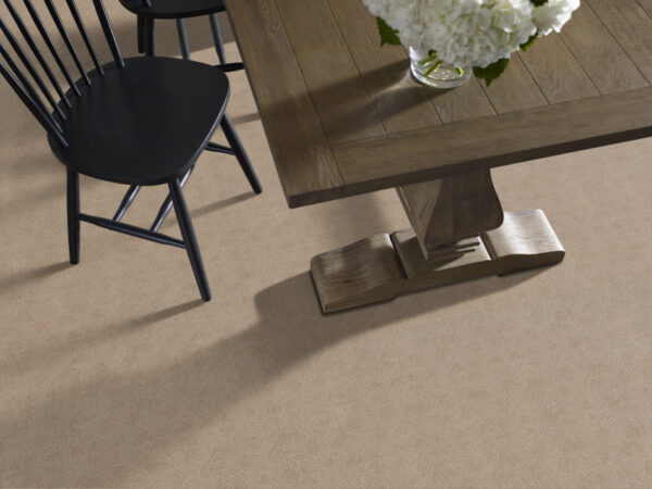 Anderson Tuftex Carpet Ario Coastal Home 00115_ZZ222 - Image 2