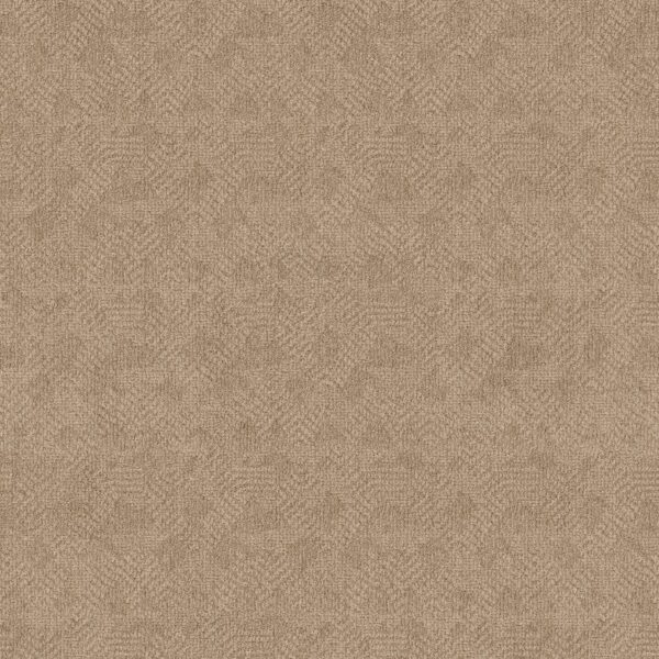 Anderson Tuftex Carpet Ario Antique 00116_ZZ222