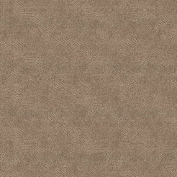 Anderson Tuftex Carpet Ario Bay Shore 00117_ZZ222