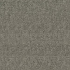 Anderson Tuftex Carpet Ario Scenic Drive 00344_ZZ222