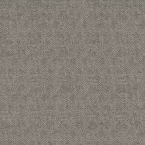 Anderson Tuftex Carpet Ario Swept Away 00541_ZZ222