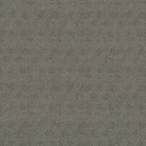 Anderson Tuftex Carpet Ario Stonewall 00545_ZZ222