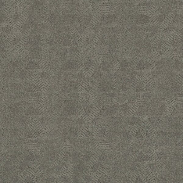 Anderson Tuftex Carpet Ario Stonewall 00545_ZZ222