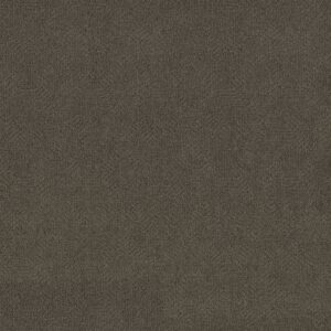 Anderson Tuftex Carpet Ario Deep Space 00548_ZZ222