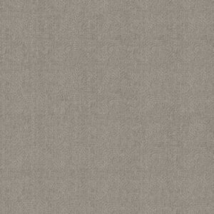 Anderson Tuftex Carpet Ario Ice Formation 00551_ZZ222