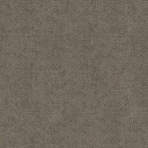 Anderson Tuftex Carpet Ario Storm Cloud 00555_ZZ222