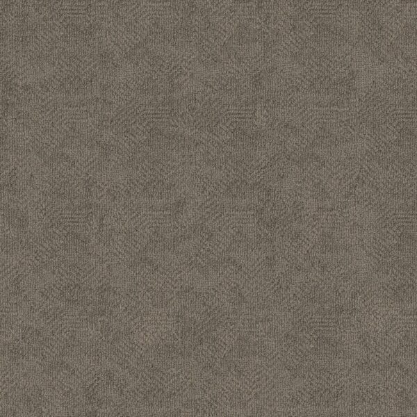 Anderson Tuftex Carpet Ario Storm Cloud 00555_ZZ222