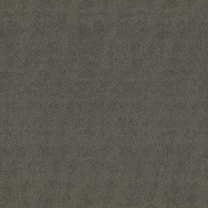 Anderson Tuftex Carpet Ario Gunmetal 00558_ZZ222