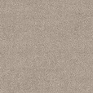 Anderson Tuftex Carpet Ario Smokey Taupe 00571_ZZ222