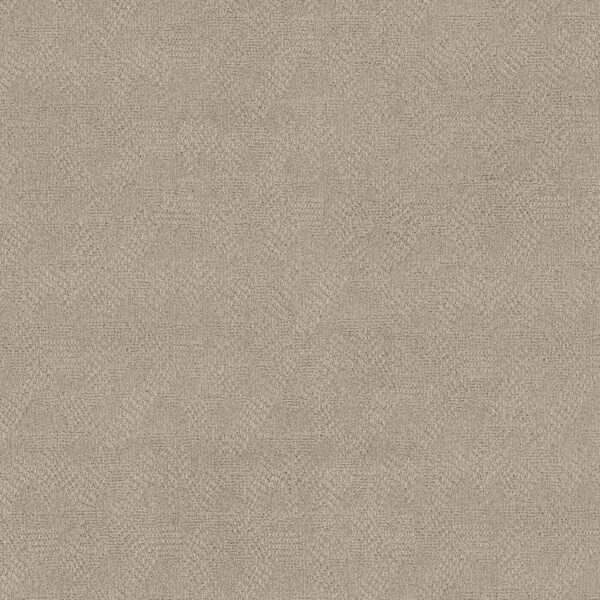 Anderson Tuftex Carpet Ario Smokey Taupe 00571_ZZ222