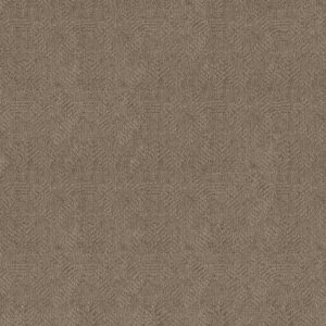 Anderson Tuftex Carpet Ario Sandlot 00573_ZZ222