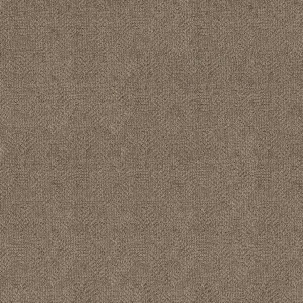 Anderson Tuftex Carpet Ario Sandlot 00573_ZZ222