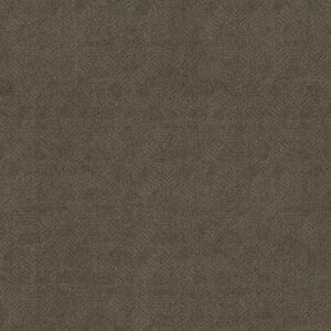 Anderson Tuftex Carpet Ario Apparition 00577_ZZ222