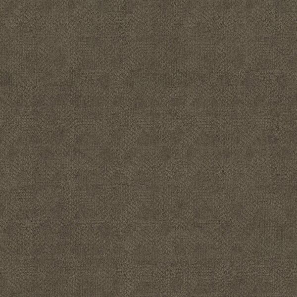 Anderson Tuftex Carpet Ario Apparition 00577_ZZ222