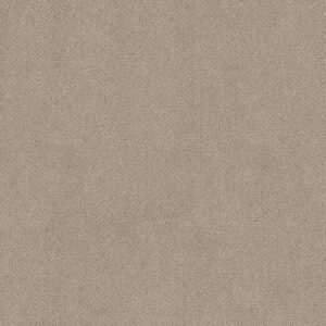 Anderson Tuftex Carpet Ario Cocoa Sand 00752_ZZ222