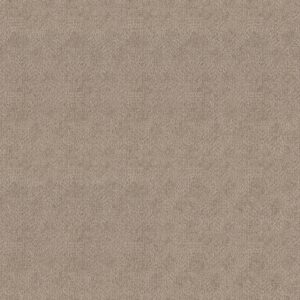 Anderson Tuftex Carpet Ario Adobe Beige 00754_ZZ222