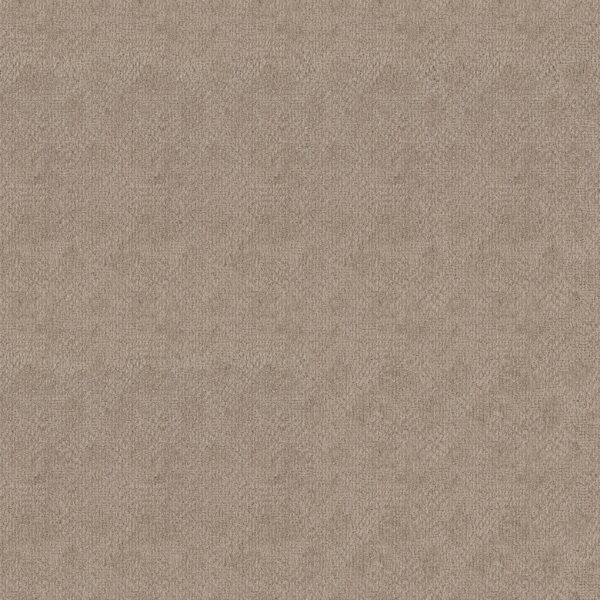Anderson Tuftex Carpet Ario Adobe Beige 00754_ZZ222