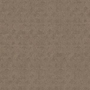 Anderson Tuftex Carpet Ario Broken Arrow 00755_ZZ222
