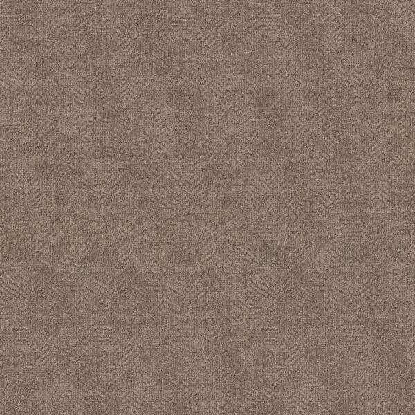 Anderson Tuftex Carpet Ario Broken Arrow 00755_ZZ222