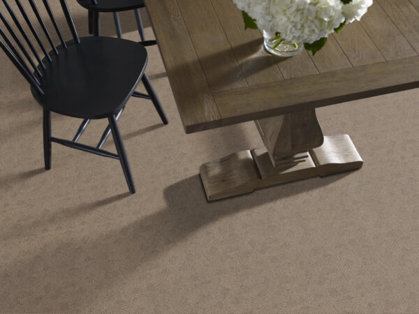 Anderson Tuftex Carpet Ario Broken Arrow 00755_ZZ222 - Image 2