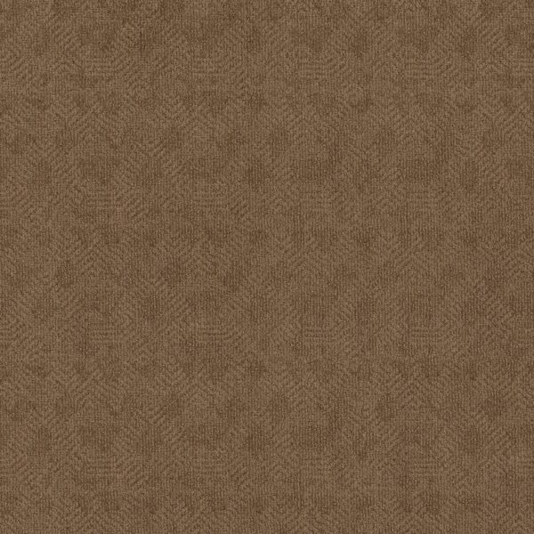 Anderson Tuftex Carpet Ario Desert Beach 00765_ZZ222